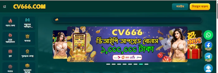 cv666