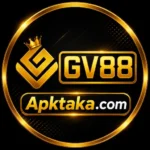 GV88